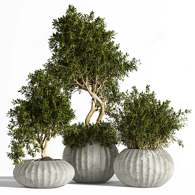 Outdoor Oasis: 3 Tree Concrete Planter 3D model image 1