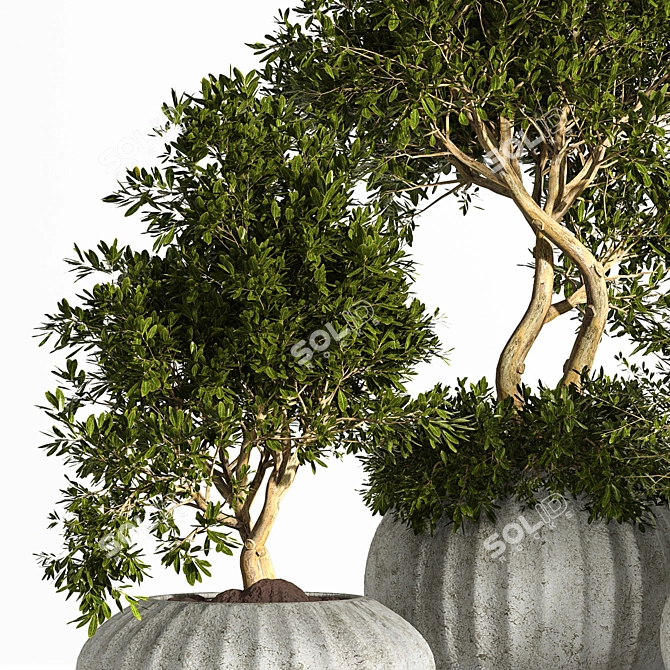 Outdoor Oasis: 3 Tree Concrete Planter 3D model image 2