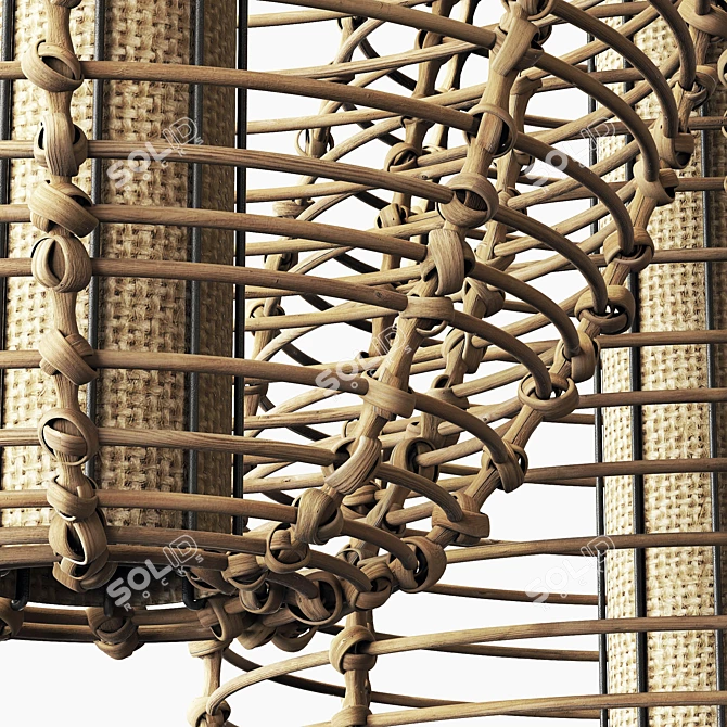 Rattan Branch Wicker Lamp 3D model image 2