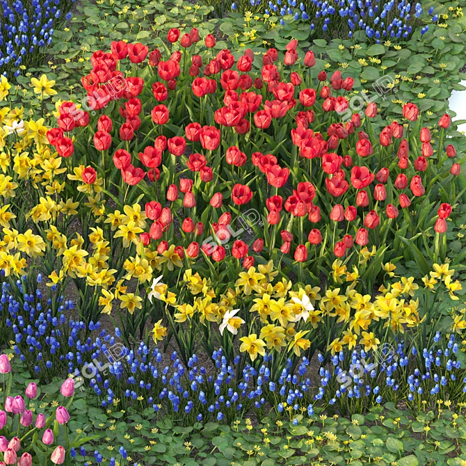 Spring Flower Garden Collection 3D model image 2