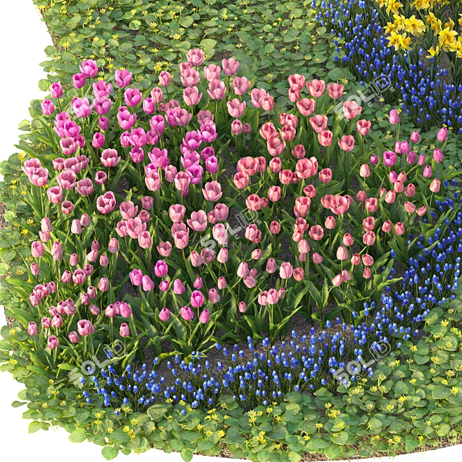 Spring Flower Garden Collection 3D model image 3