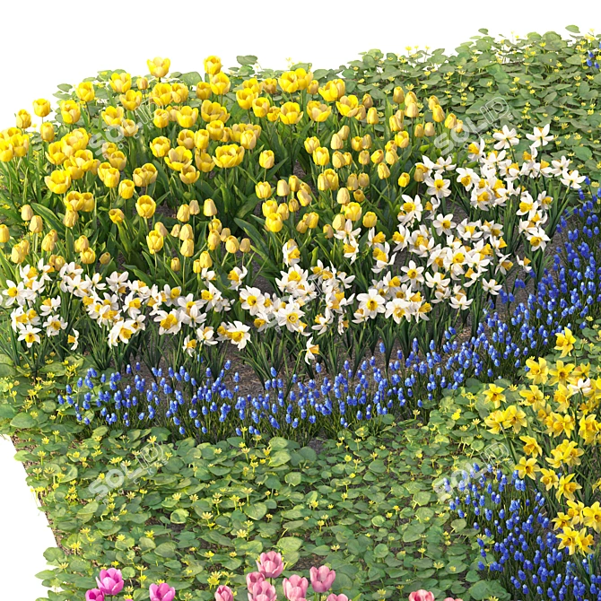 Spring Flower Garden Collection 3D model image 4