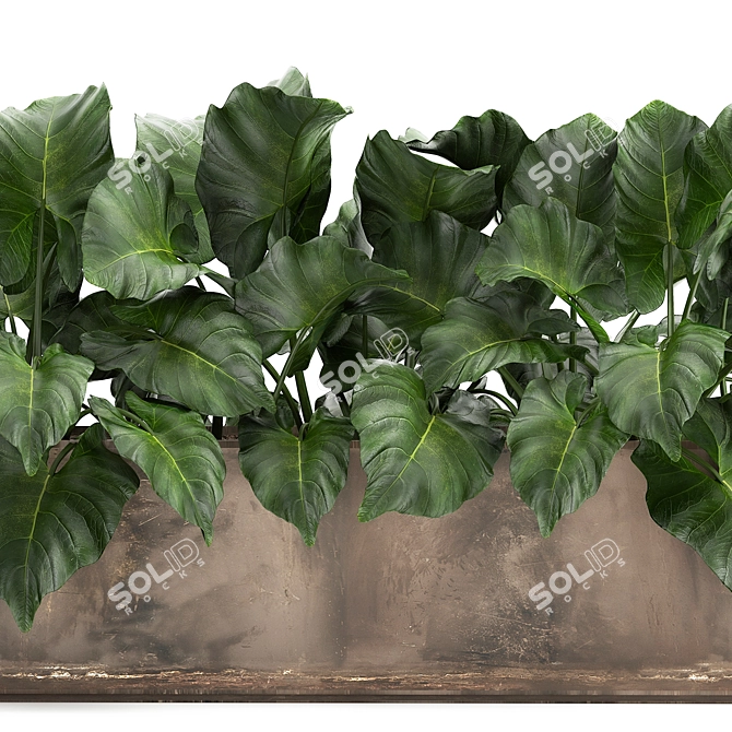 Exotic Metal Planter Collection 3D model image 3