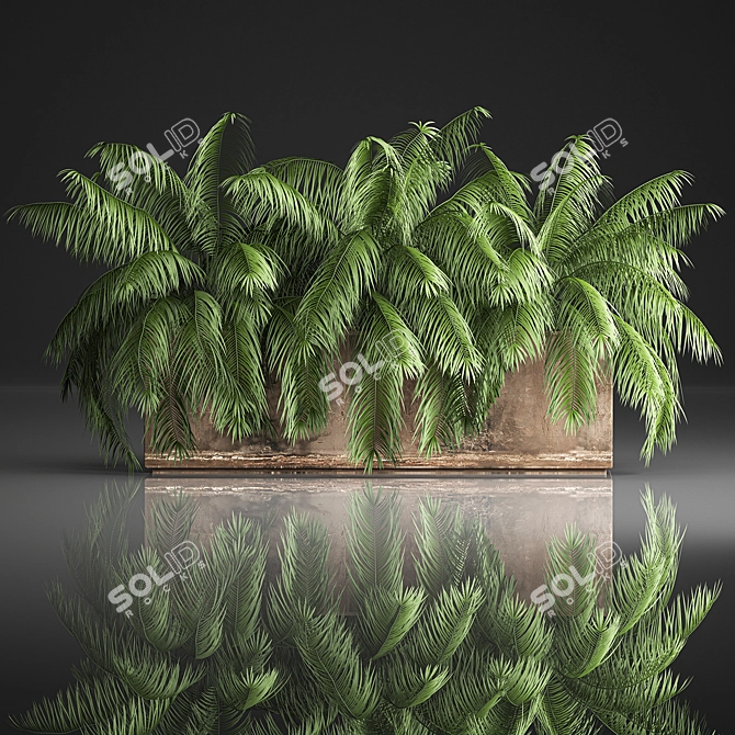 Tropical Plant Collection 3D model image 1