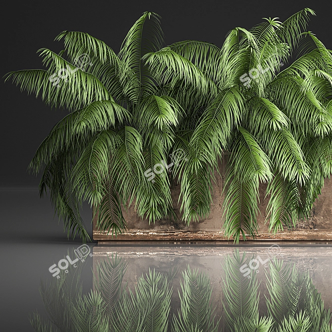 Tropical Plant Collection 3D model image 2