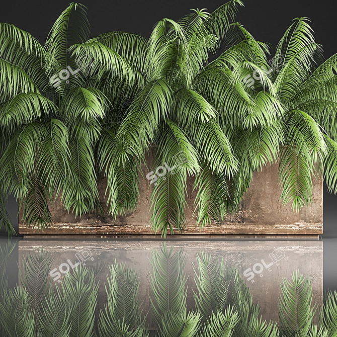 Tropical Plant Collection 3D model image 3