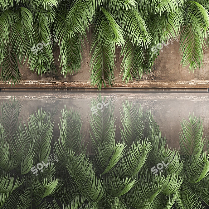 Tropical Plant Collection 3D model image 5