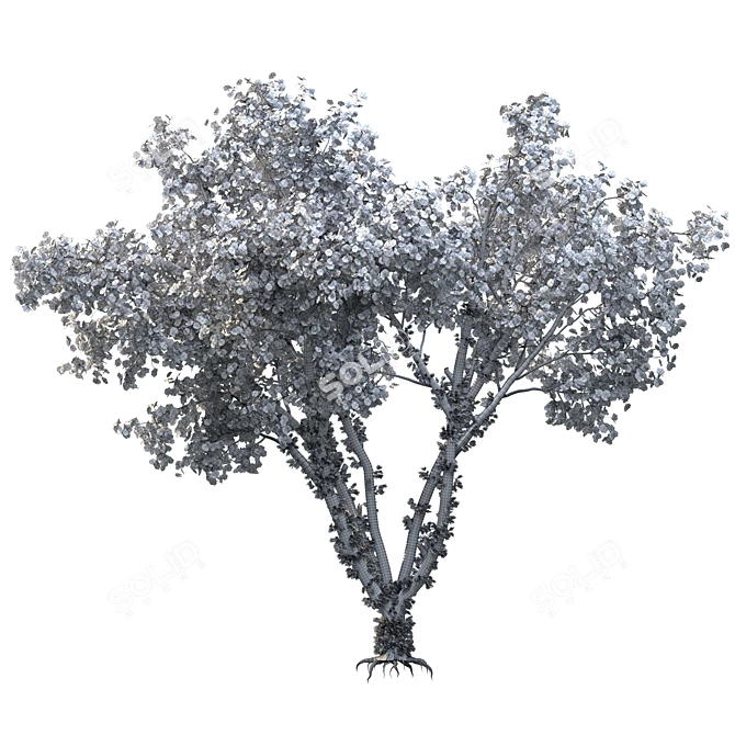 Speed Tree Model for Stunning Corona Renders 3D model image 5