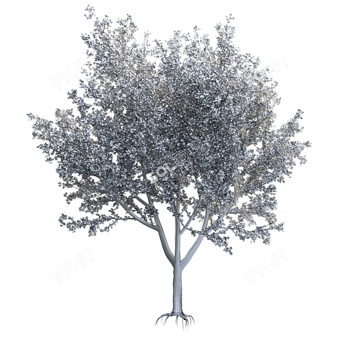 Speed Tree Model for Stunning Landscape 3D model image 4