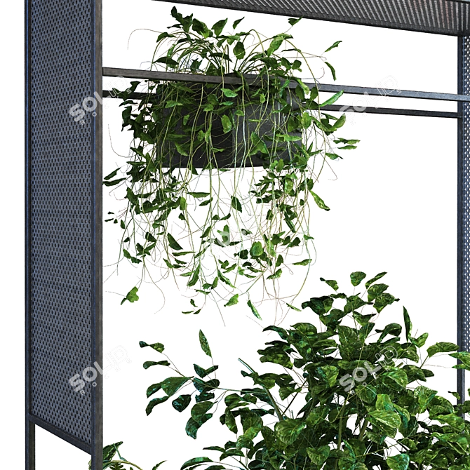 Botanical Bliss Plant Set 3D model image 5