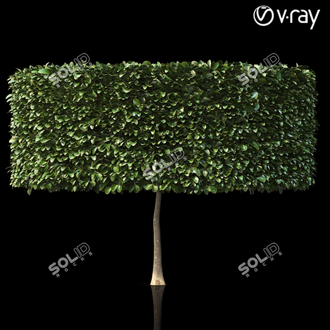 Lush Shrubbery 001: Detailed and Realistic 3D model image 2