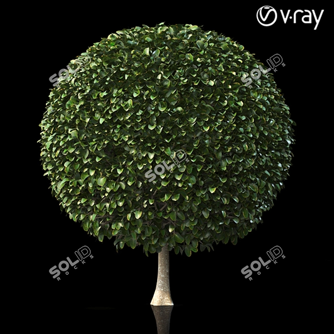 Lush Shrubbery 001: Detailed and Realistic 3D model image 3