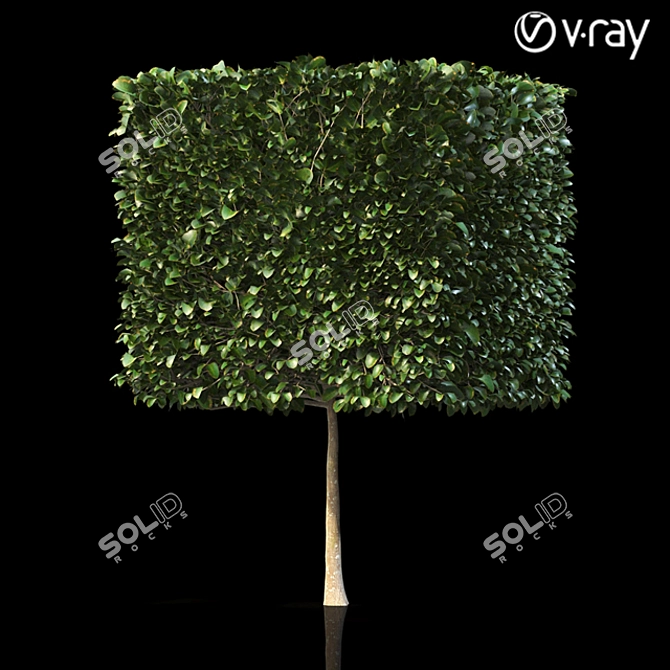 Lush Shrubbery 001: Detailed and Realistic 3D model image 4