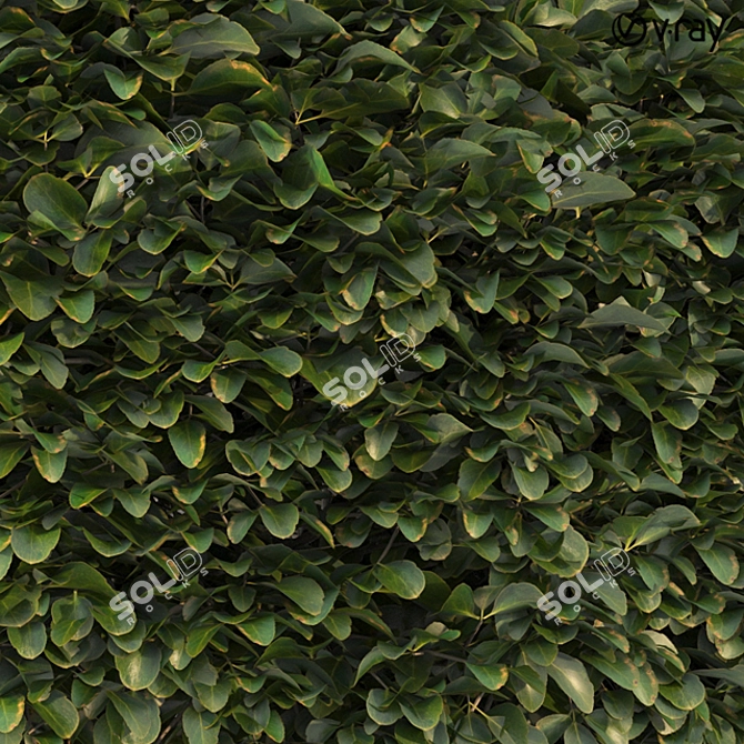 Lush Shrubbery 001: Detailed and Realistic 3D model image 5