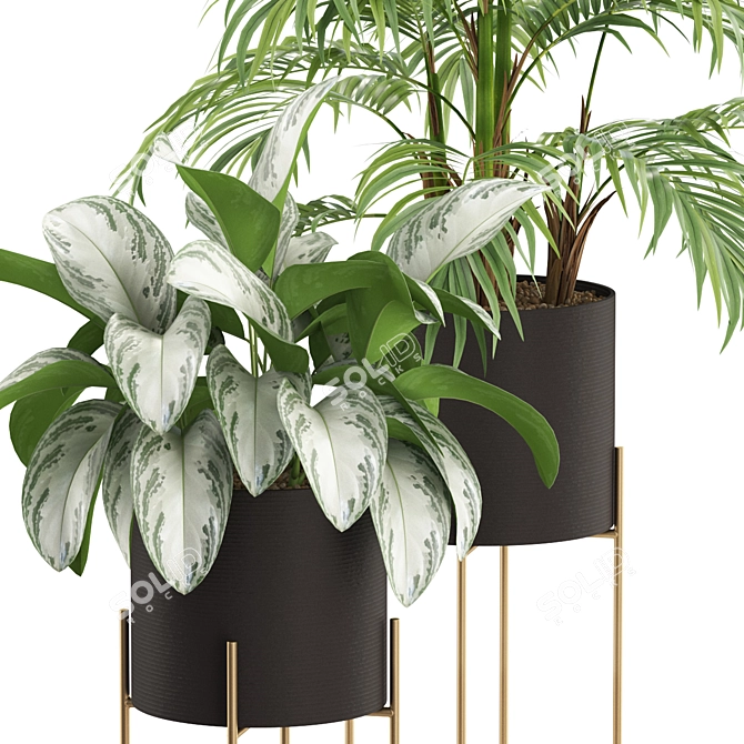 515 Plant Collection 3D model image 2