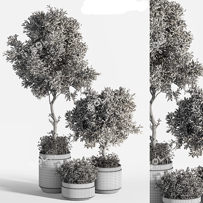 Beautiful Indoor Plant Collection 3D model image 5