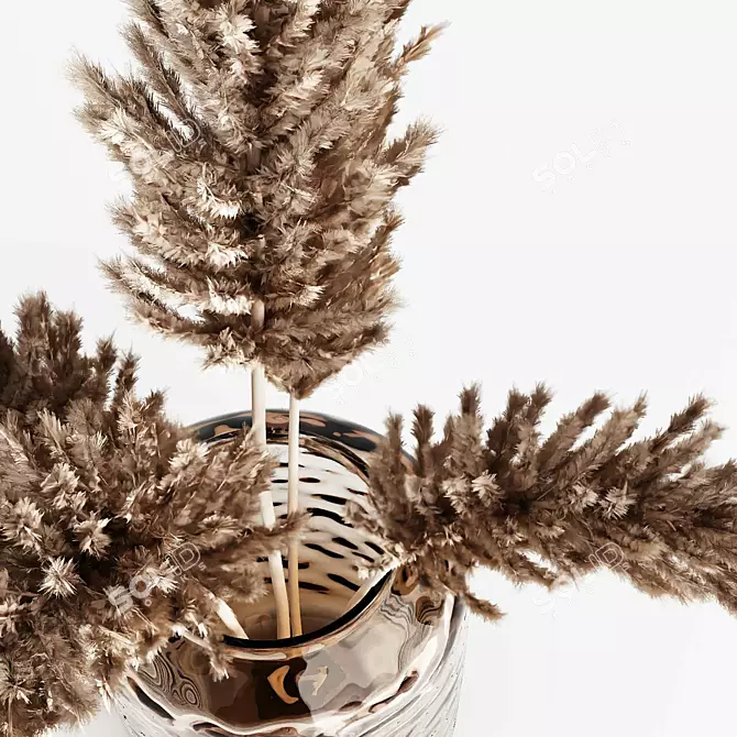 Elegant Dried Pampas Bouquets 3D model image 3