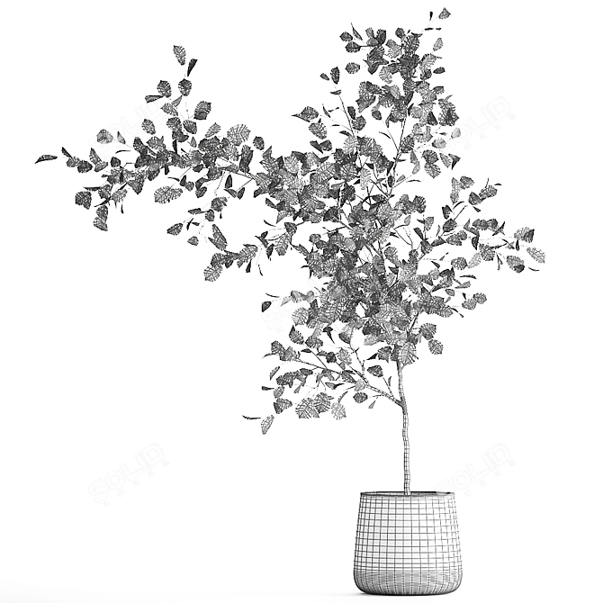 Exotic Plant Collection in Rustic Iron Pots 3D model image 7
