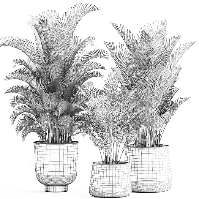 Tropical Plant Collection: Exotic Palms in Rustic Pots 3D model image 1