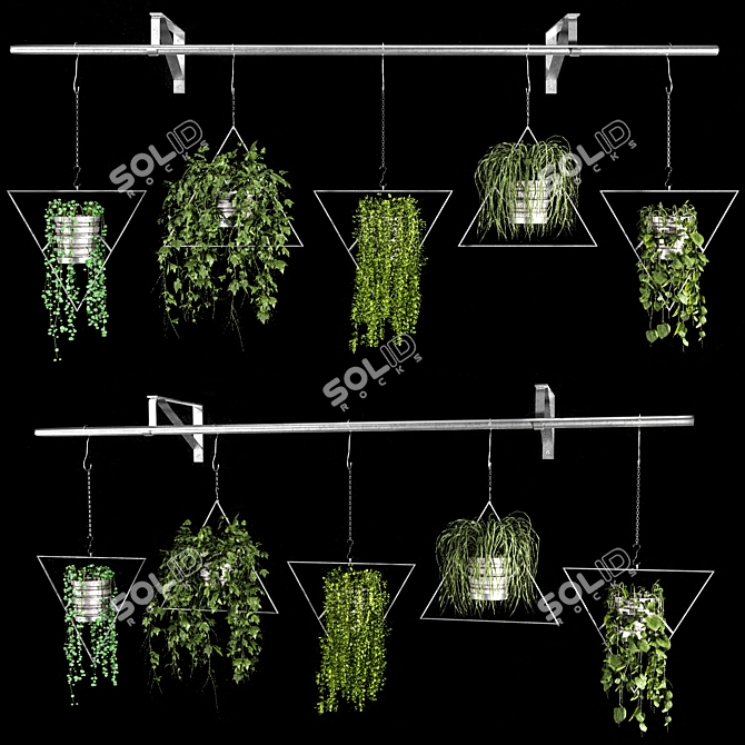 Versatile Hanging Plant Pots 3D model image 1