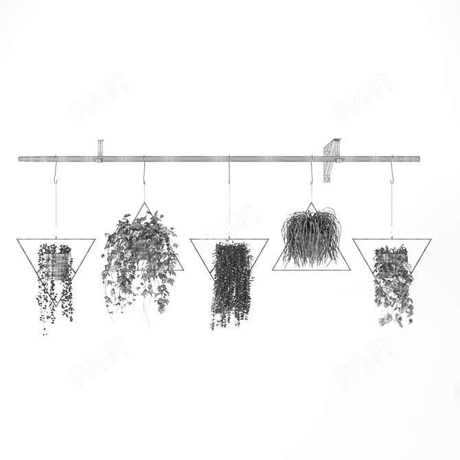 Versatile Hanging Plant Pots 3D model image 2