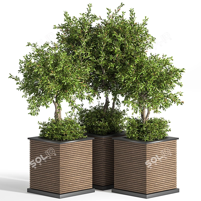 Outdoor Evergreen Tree - 10ft 3D model image 1