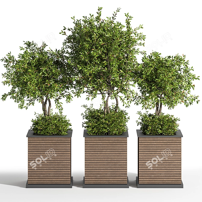 Outdoor Evergreen Tree - 10ft 3D model image 2