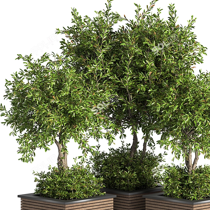 Outdoor Evergreen Tree - 10ft 3D model image 4