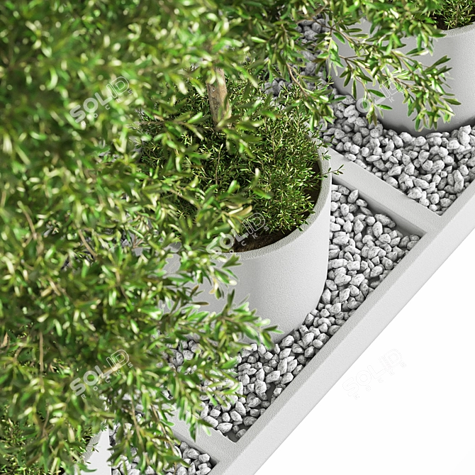 Outdoor Tree Plants 11 3D model image 2