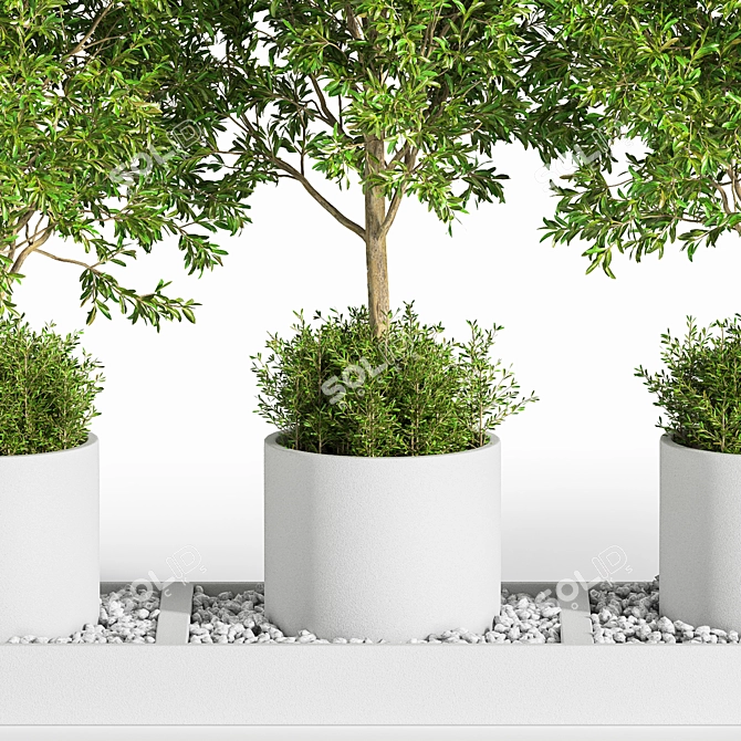 Outdoor Tree Plants 11 3D model image 3