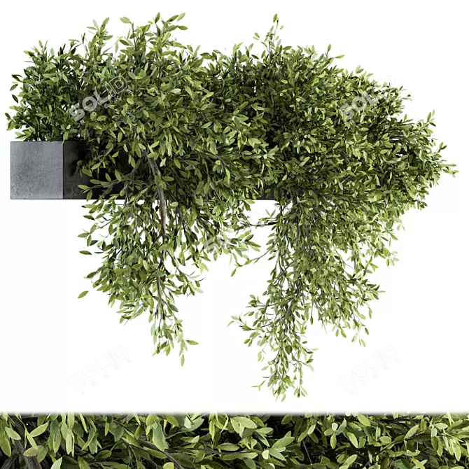 206 Outdoor Hanging Plant Set 3D model image 1