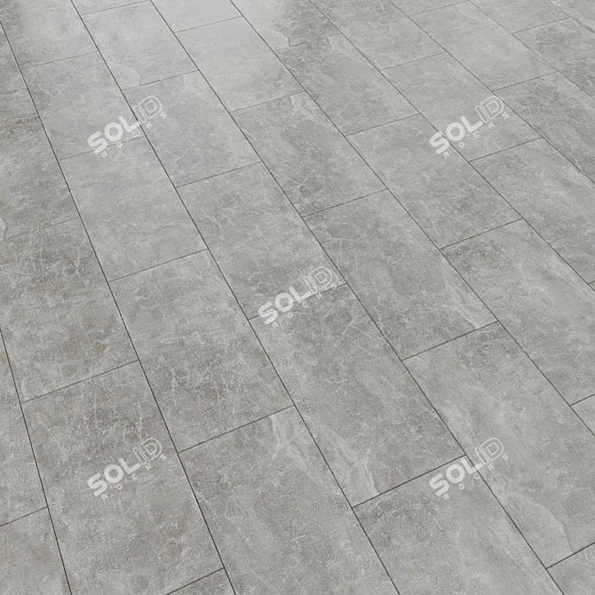 Stone Star Gray Laminate Flooring 3D model image 1