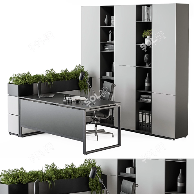 Executive Office Furniture Set 3D model image 1