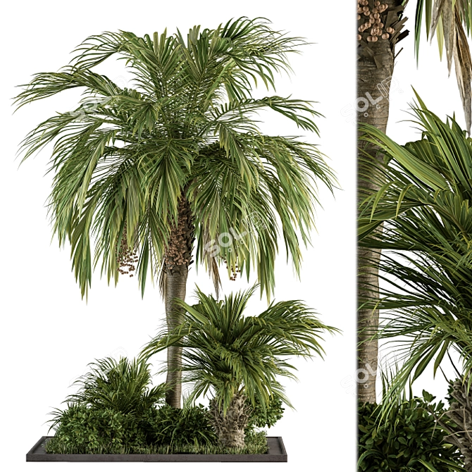 Tropical Oasis Garden Set 3D model image 1