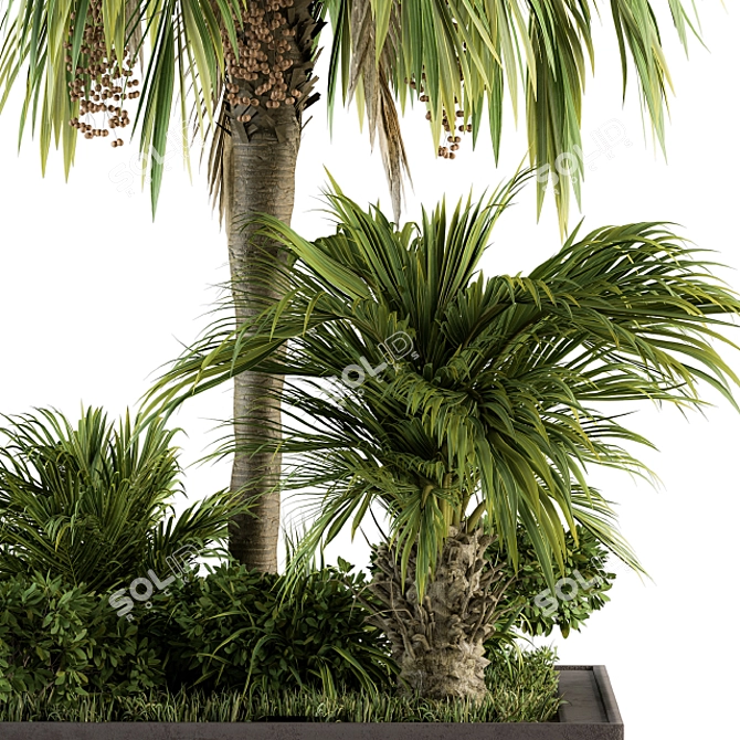 Tropical Oasis Garden Set 3D model image 2