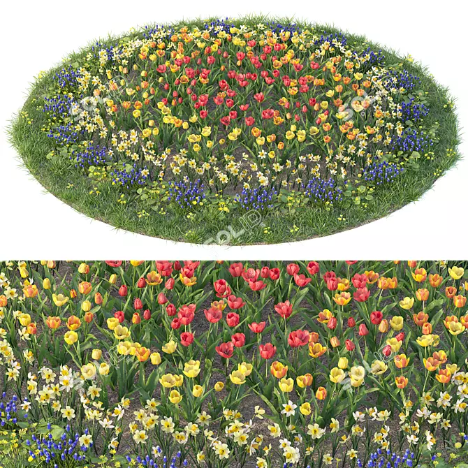 Flower Garden Paradise: Tulip, Narcissus, Muscari, Ficaria verna & Dandelion 3D model image 1