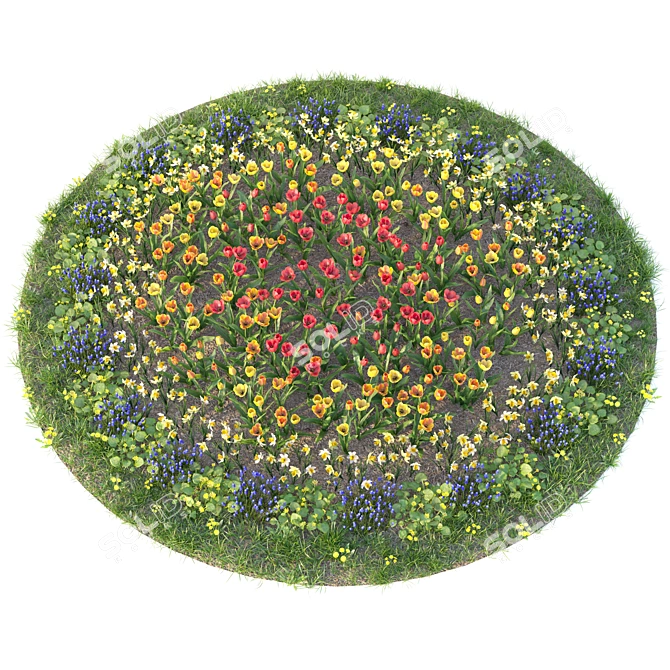 Flower Garden Paradise: Tulip, Narcissus, Muscari, Ficaria verna & Dandelion 3D model image 2