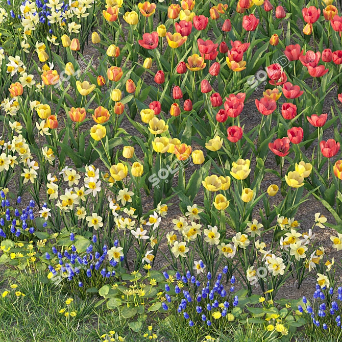 Flower Garden Paradise: Tulip, Narcissus, Muscari, Ficaria verna & Dandelion 3D model image 3