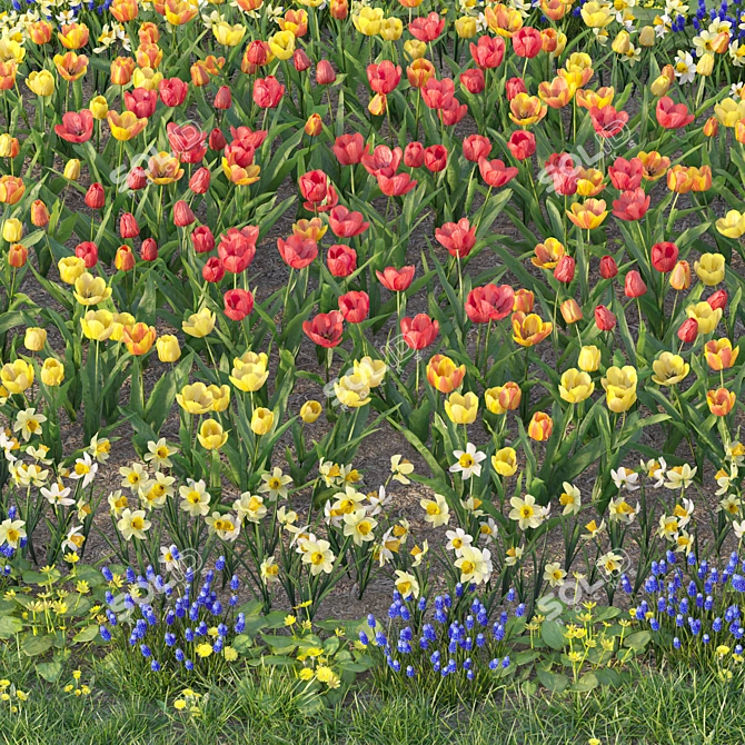 Flower Garden Paradise: Tulip, Narcissus, Muscari, Ficaria verna & Dandelion 3D model image 4