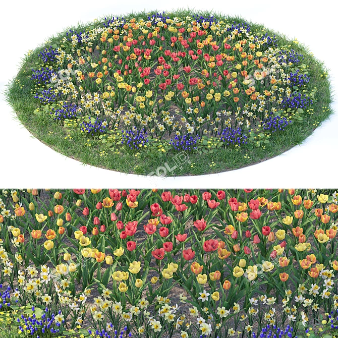 Flower Garden Paradise: Tulip, Narcissus, Muscari, Ficaria verna & Dandelion 3D model image 7