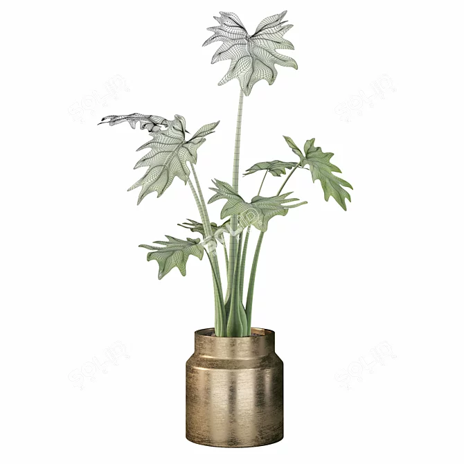 Lush Greenery: Philodendron Xanadu 3D model image 2