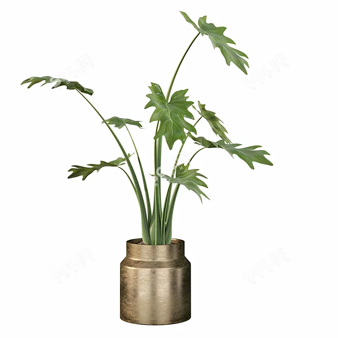 Lush Greenery: Philodendron Xanadu 3D model image 3