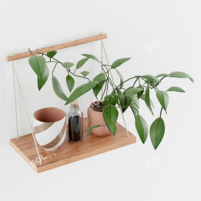 Minimalist Mango Wood Hanging Wall Shelf 3D model image 1