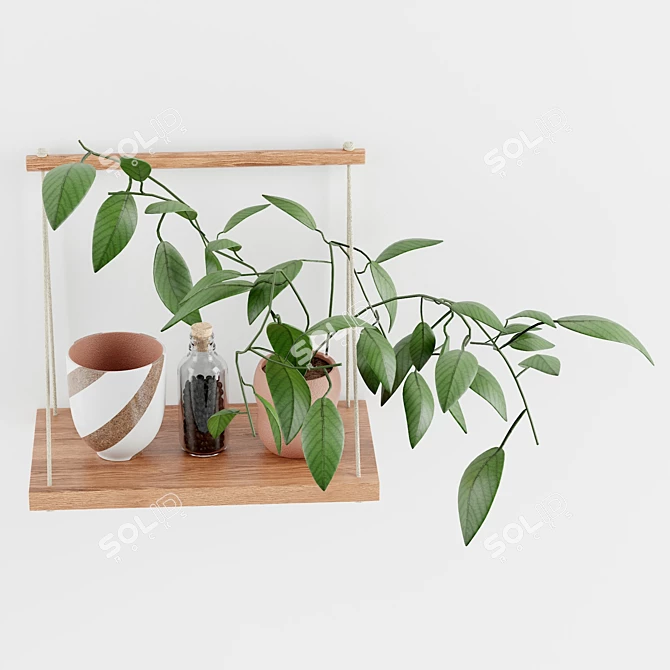 Minimalist Mango Wood Hanging Wall Shelf 3D model image 2