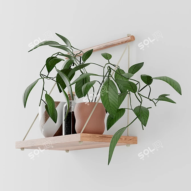 Minimalist Mango Wood Hanging Wall Shelf 3D model image 5