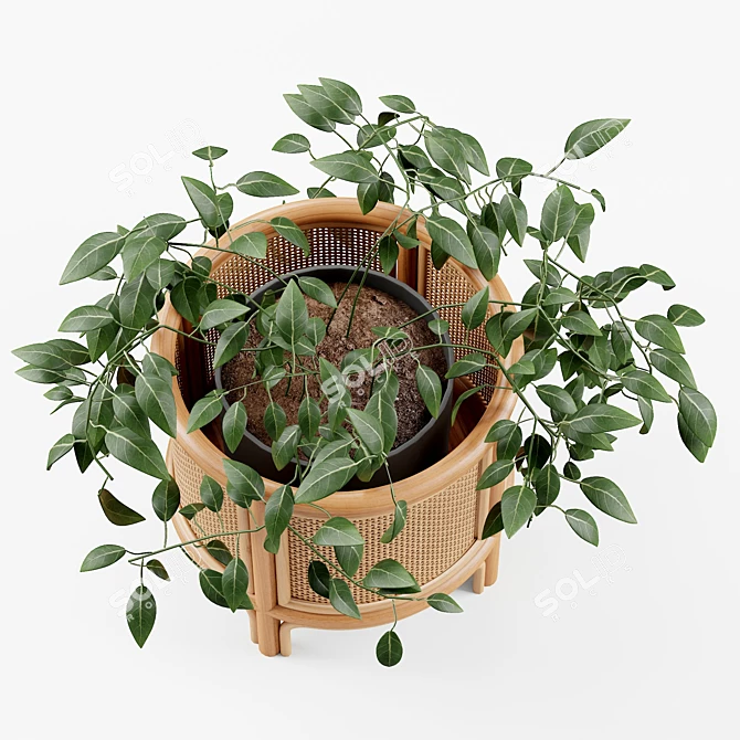 Boho Rattan 12" Planter 3D model image 2