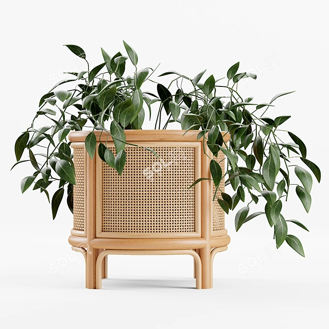 Boho Rattan 12" Planter 3D model image 3