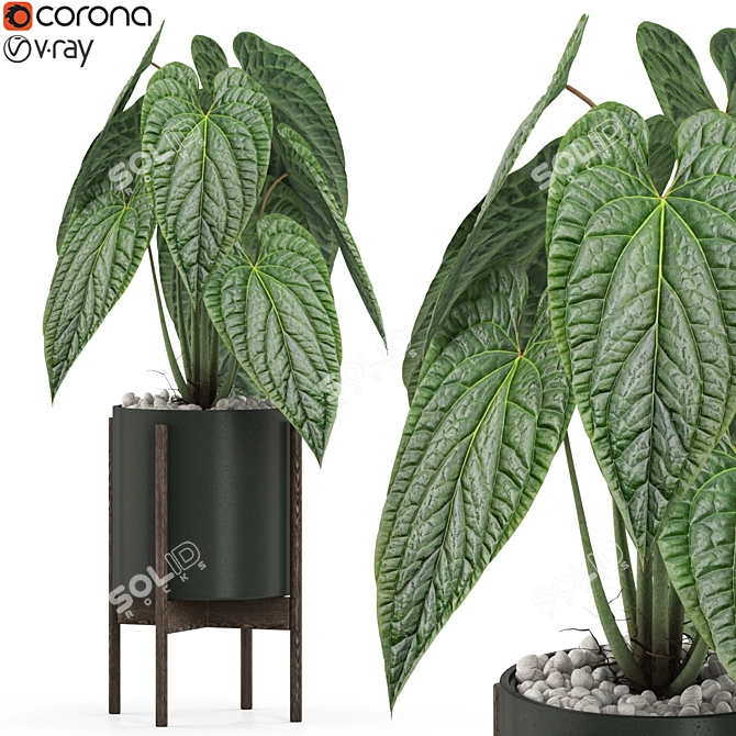 Botanical Beauty: Vibrant Plants Collection 3D model image 1