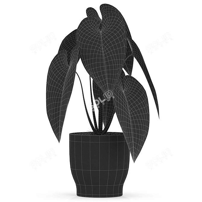 517 Plants Collection: Stunning Variety 3D model image 2