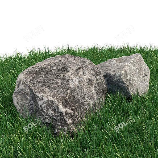 360° Scanned Landscape Stones 3D model image 5